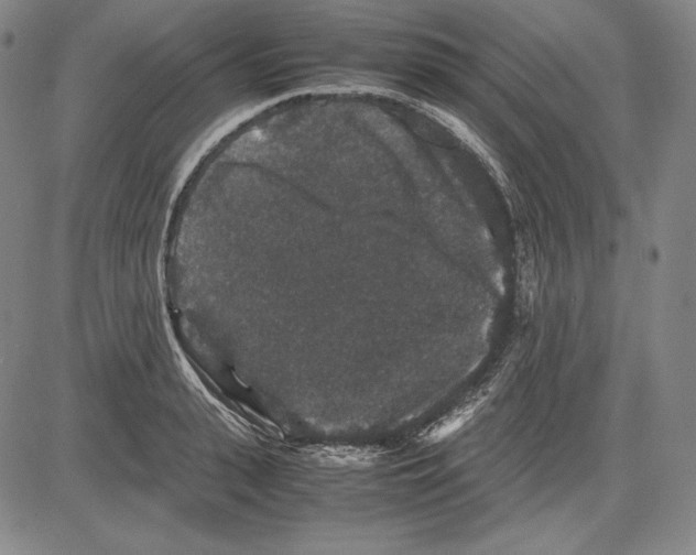 X0000081610943200702121611