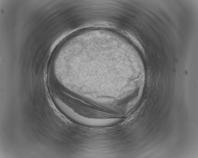 X0000081610944200702121611