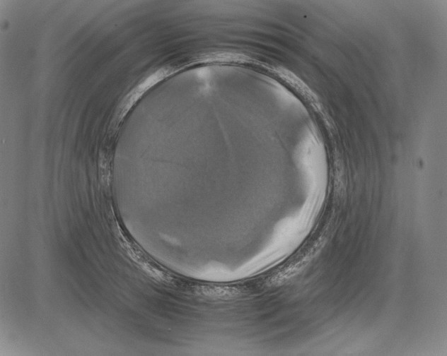 X0000081610945200702121611