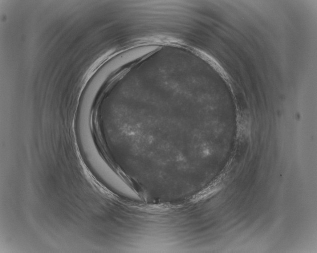 X0000081610946200702121611