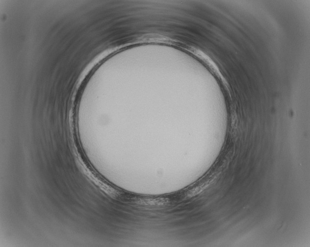 X0000081610947200702121611