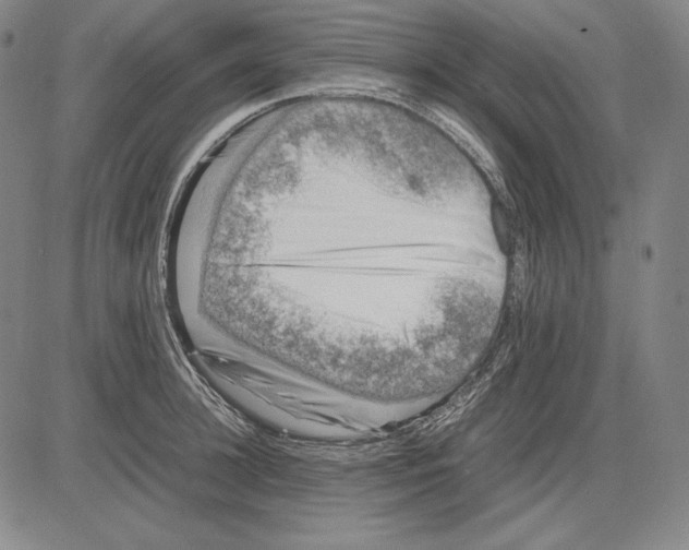 X0000081610948200702121611