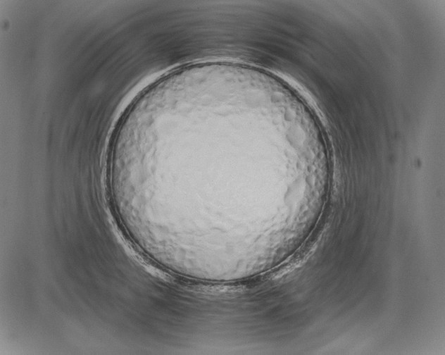 X0000081610949200702121611