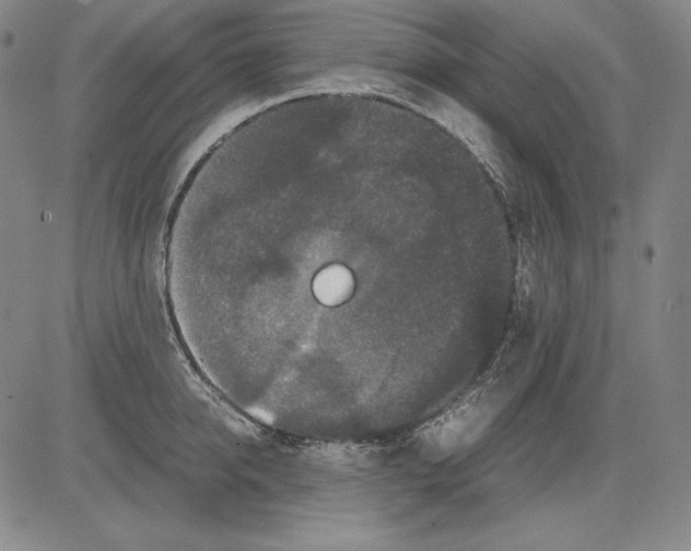 X0000081610950200702121611