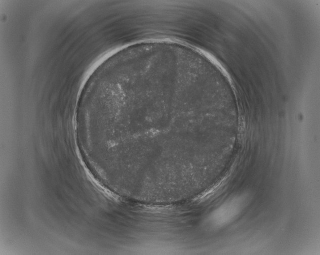 X0000081610951200702121611