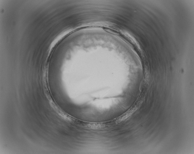 X0000081610952200702121611