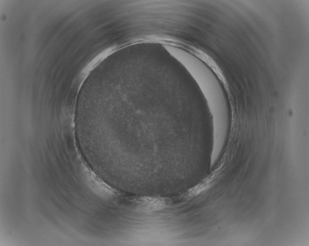 X0000081610954200702121611