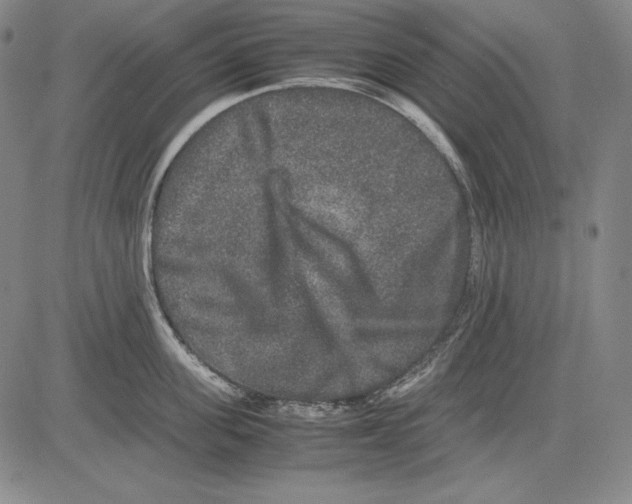 X0000081610955200702121611