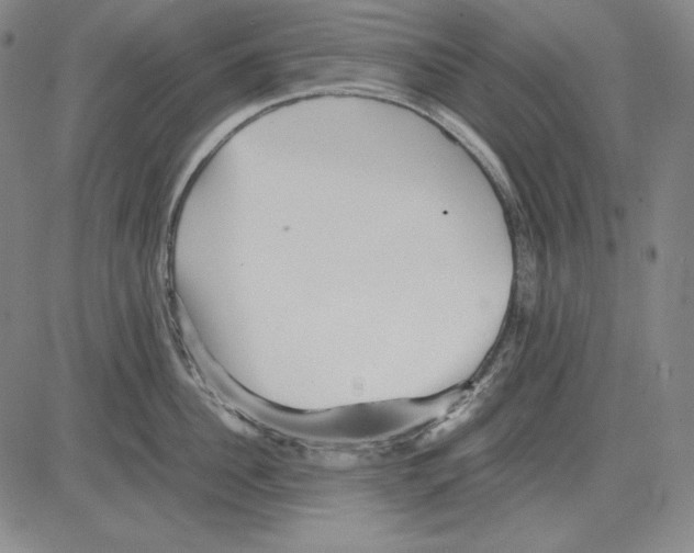 X0000081610956200702121611