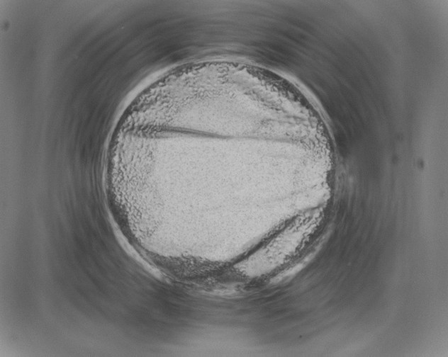 X0000081610957200702121611