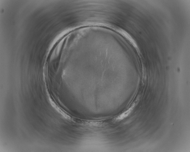 X0000081610958200702121611