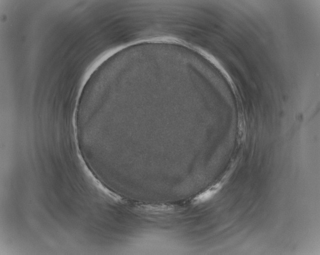 X0000081610959200702121611