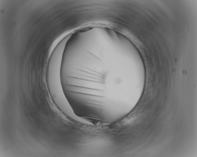 X0000081610960200702121611