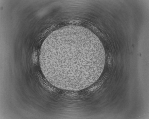 X0000081610962200702121611