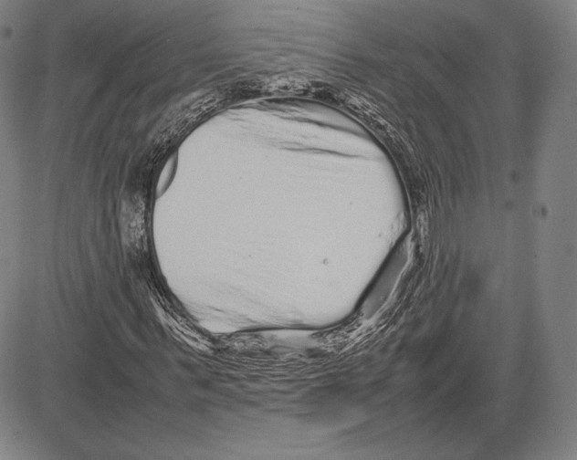 X0000081610963200702121611