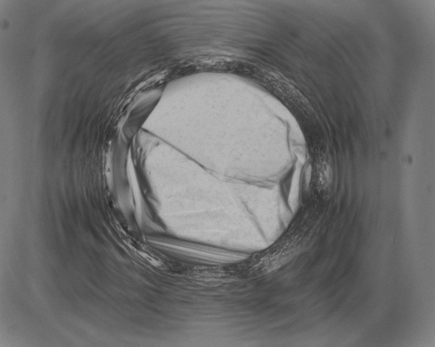 X0000081610964200702121611