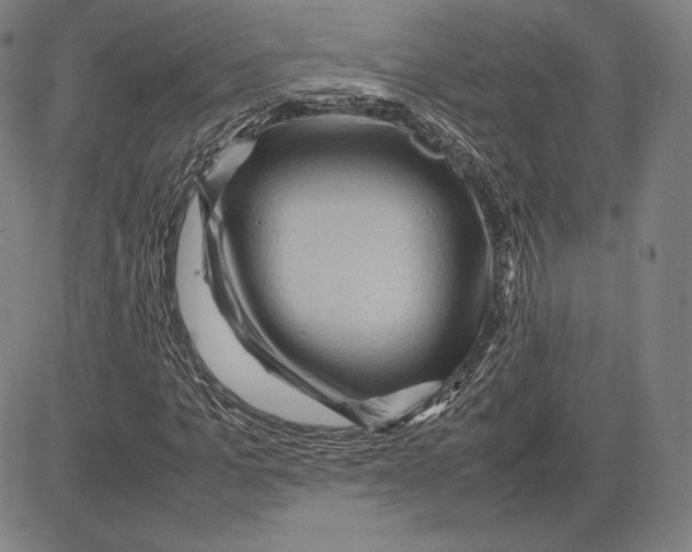 X0000081610965200702121611