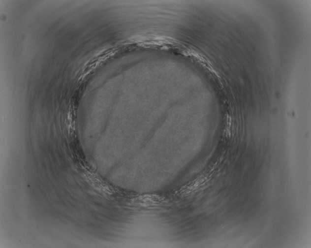 X0000081610966200702121610