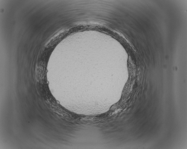 X0000081610967200702121610