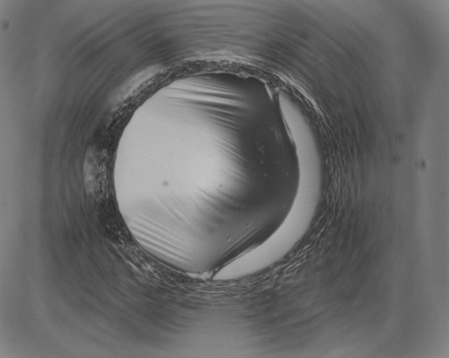 X0000081610968200702121610