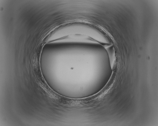 X0000081610969200702121610