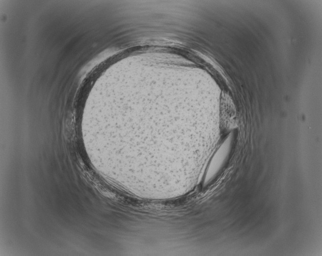 X0000081610971200702121610