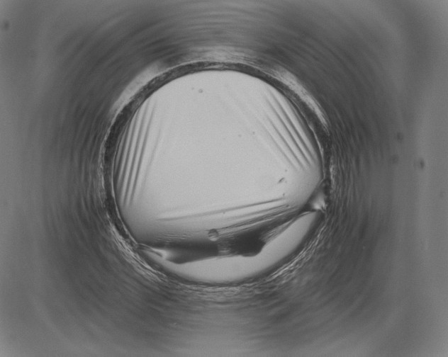 X0000081610972200702121610