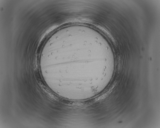 X0000081610974200702121610