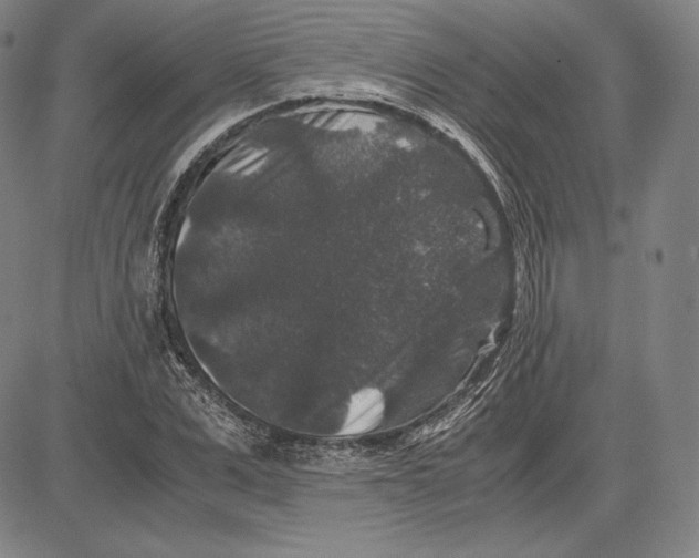 X0000081610975200702121610