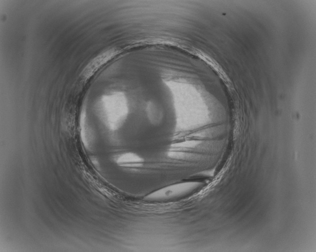 X0000081610977200702121610