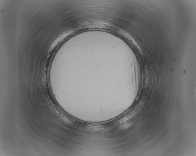 X0000081610978200702121610