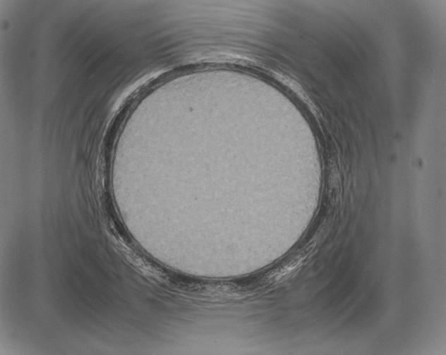 X0000081610979200702121610