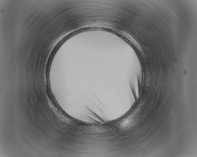 X0000081610980200702121610