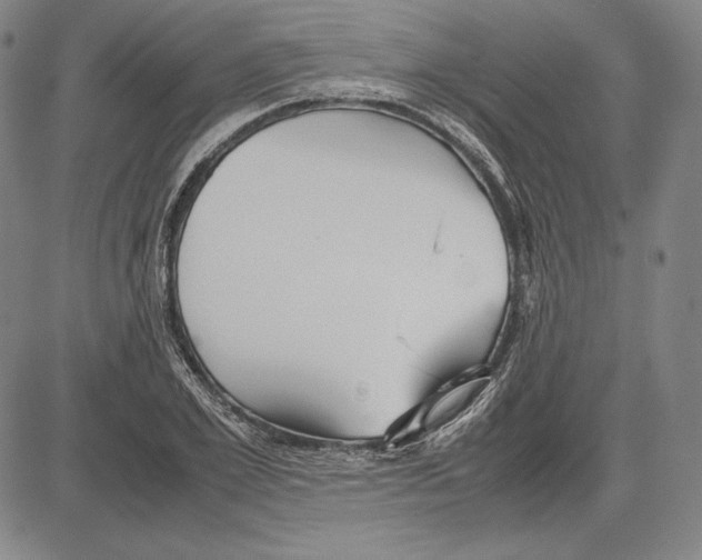 X0000081610981200702121610