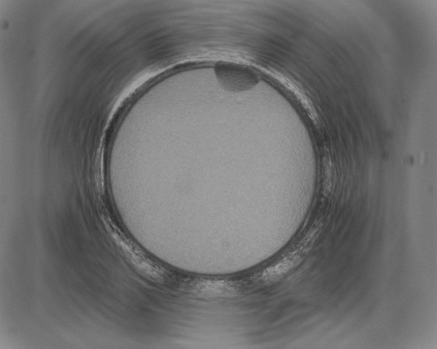 X0000081610982200702121610