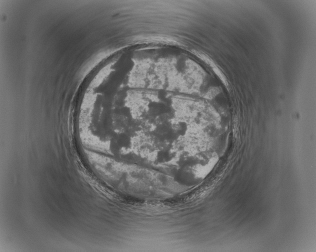 X0000081610983200702121610