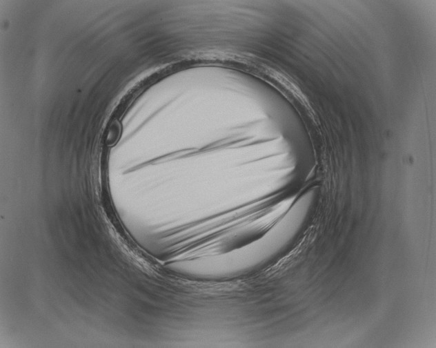 X0000081610984200702121610