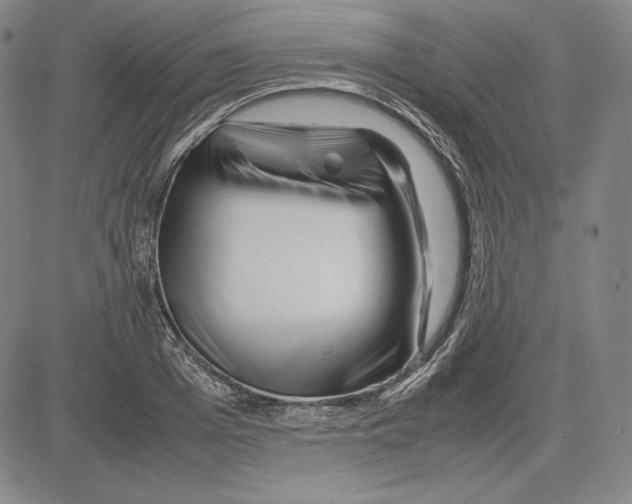 X0000081610985200702121610