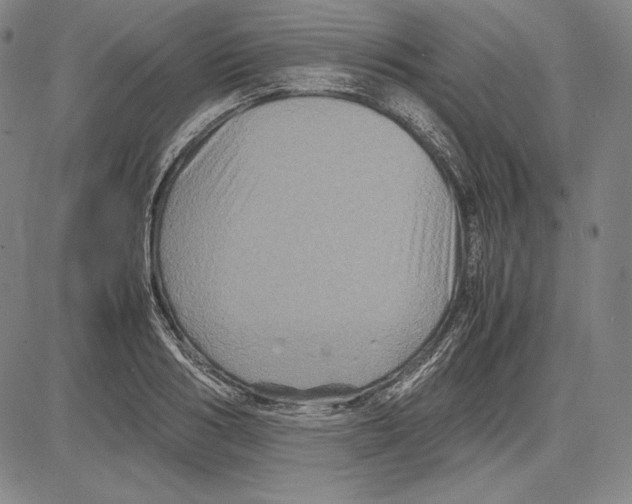 X0000081610986200702121610