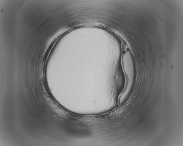 X0000081610987200702121610