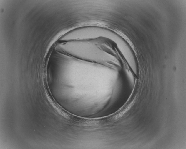 X0000081610989200702121610