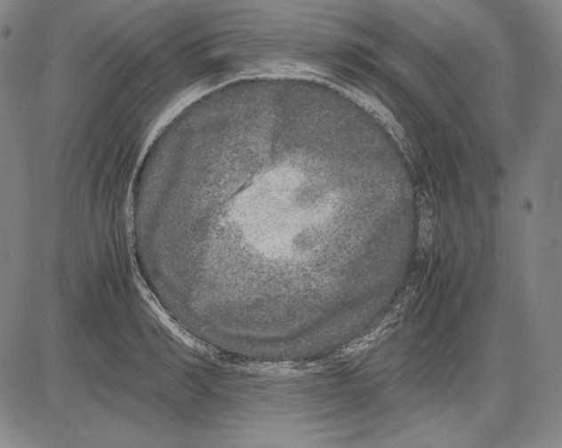 X0000081610990200702121610