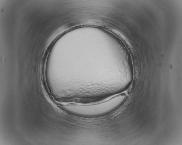 X0000081610991200702121610