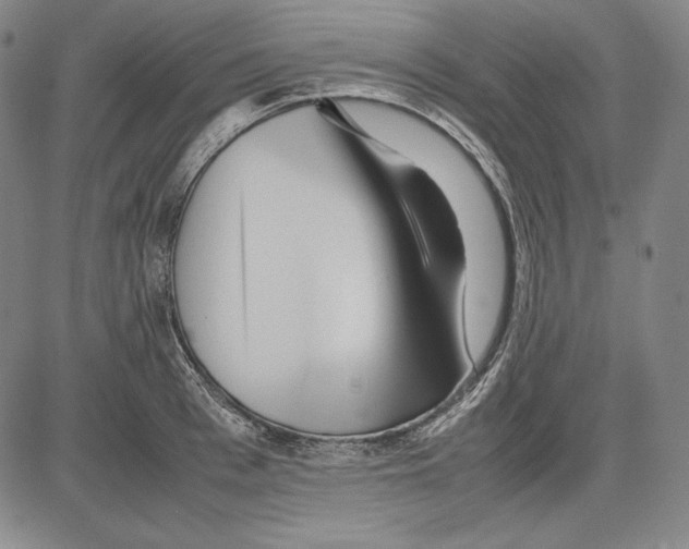 X0000081610993200702121610