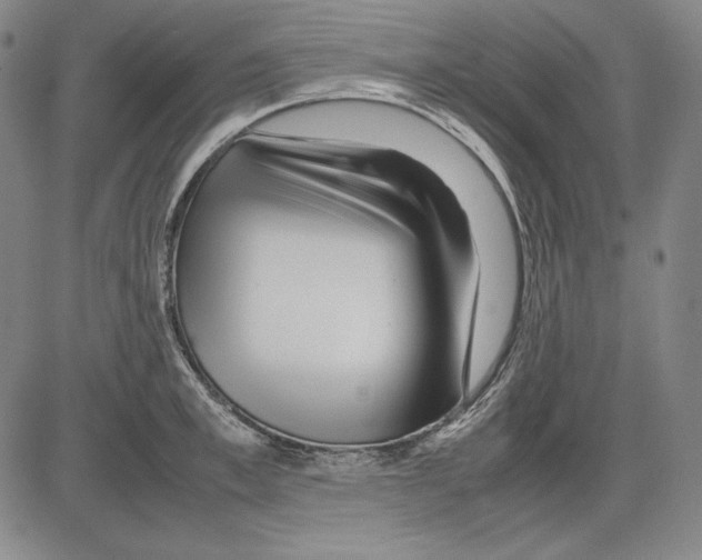 X0000081610997200702121610