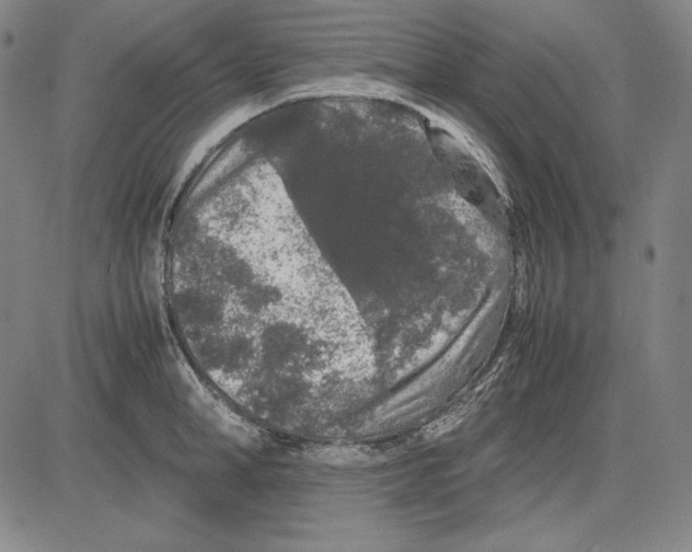 X0000081610998200702121610