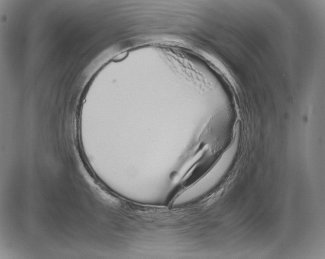 X0000081610999200702121610