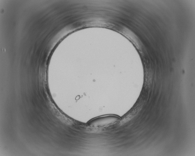 X0000081611000200702121610