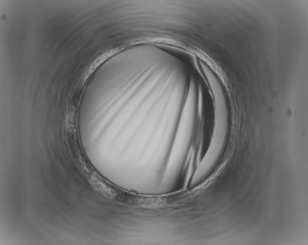 X0000081611001200702121610