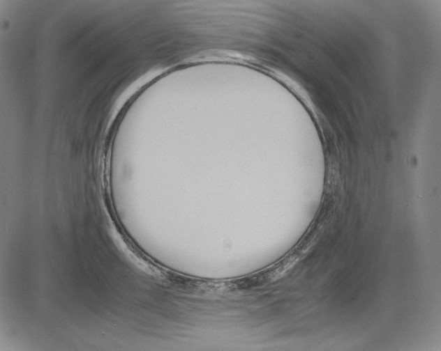 X0000081611003200702121610